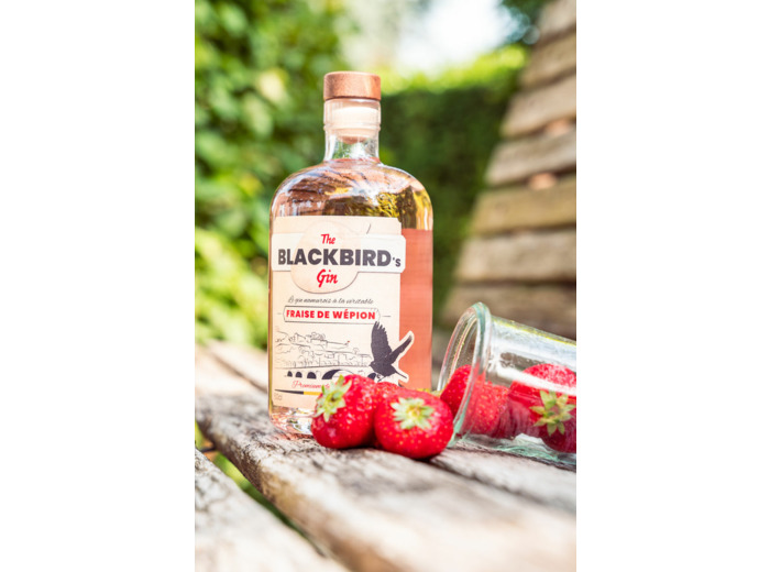 BlackBird's Gin 50cl