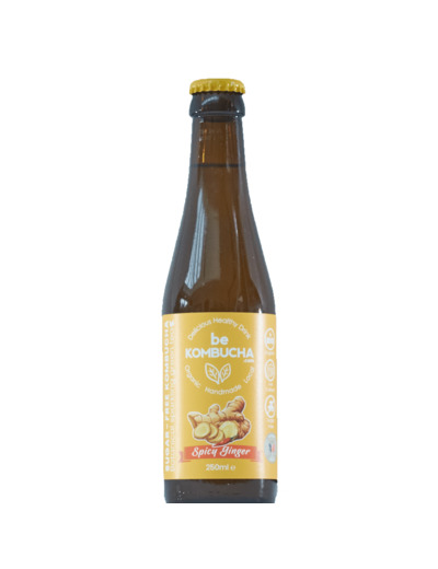 BeKombucha Sans Sucre GINGEMBRE EPICE 25cl