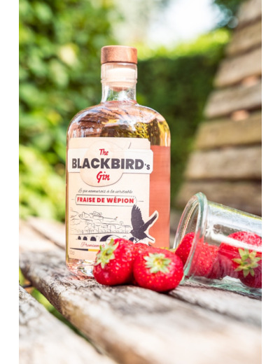 The Blackbird's Gin - Distillerie de Namur